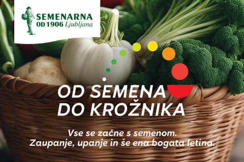VSE SE ZAČNE S SEMENOM