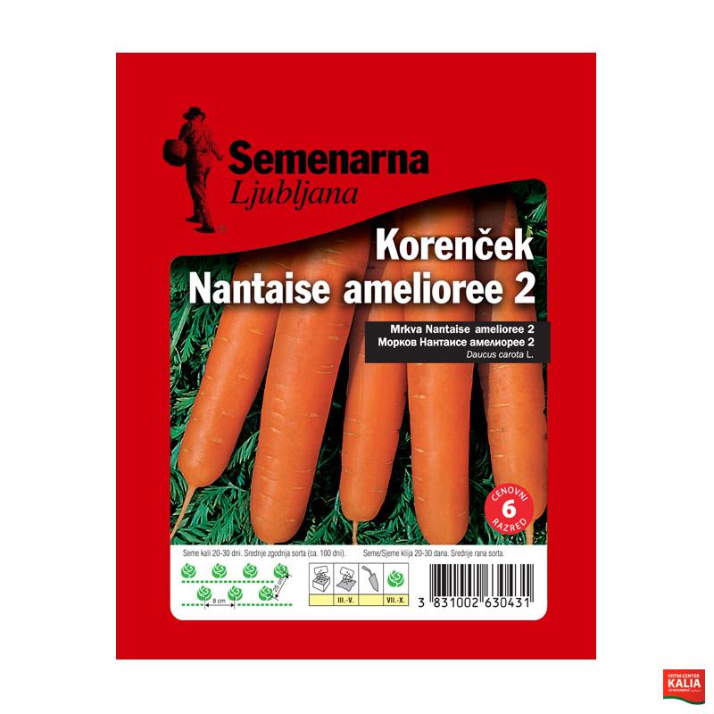 KORENČEK NANTES 2 50 g Semenarna 