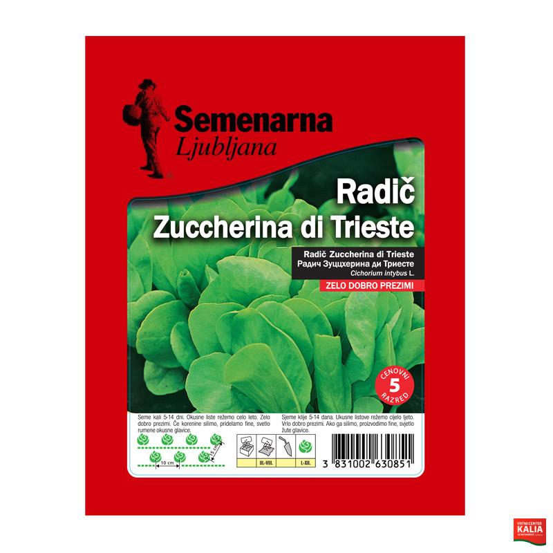 RADIČ ZUCCHERINA DI TRIESTE 50 g Semenarna 