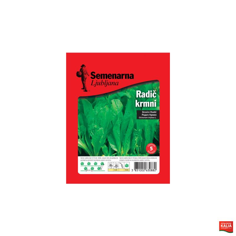 RADIČ KRMNI DI CHIAVARI 50 g Semenarna