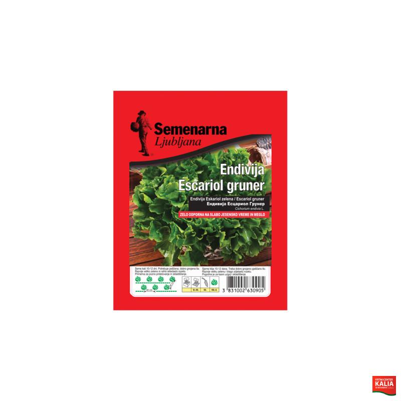 ENDIVIJA ESCARIOL GRUNNER 50 g