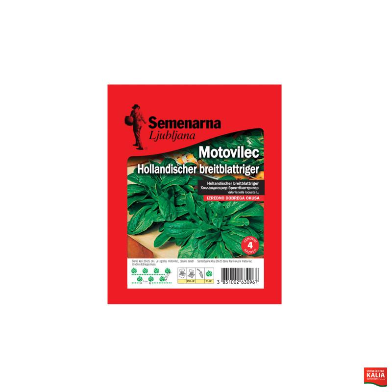 MOTOVILEC HOLLANDISCHER BREITBLATTRIGER 25 g Semenarna