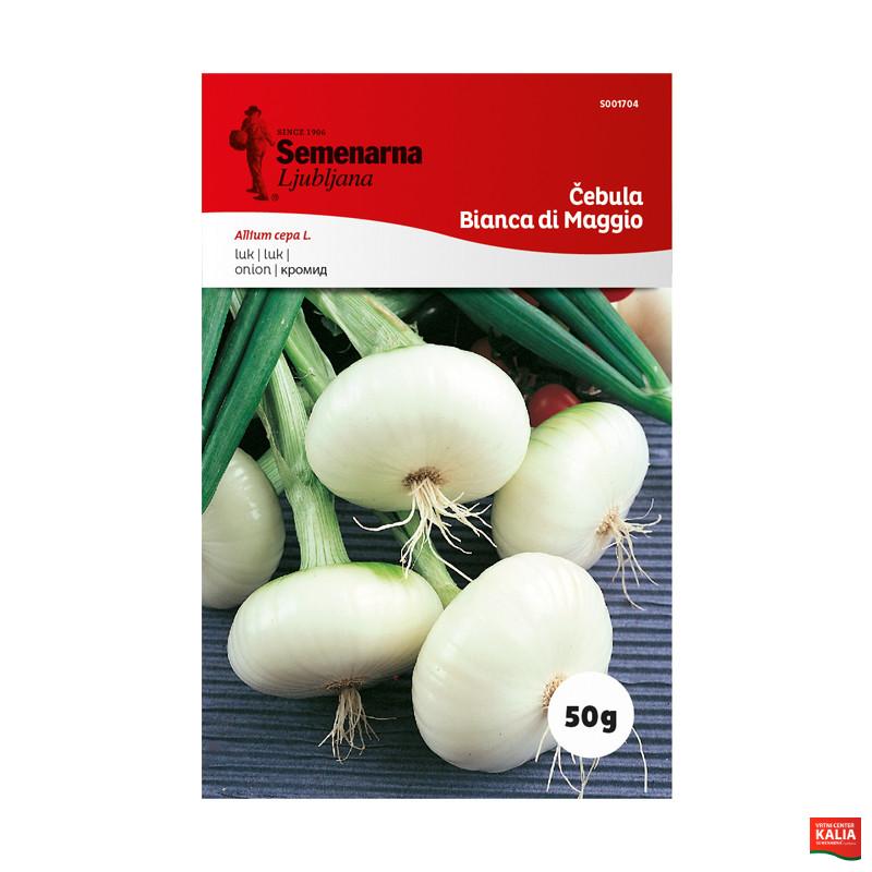 ČEBULA BIANCA DI MAGGIO 50 g Semenarna
