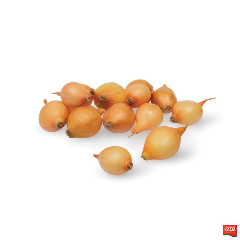 ČEBULČEK HOLANDSKA RUMENA (Stuttgarter riesen) 500 g 
