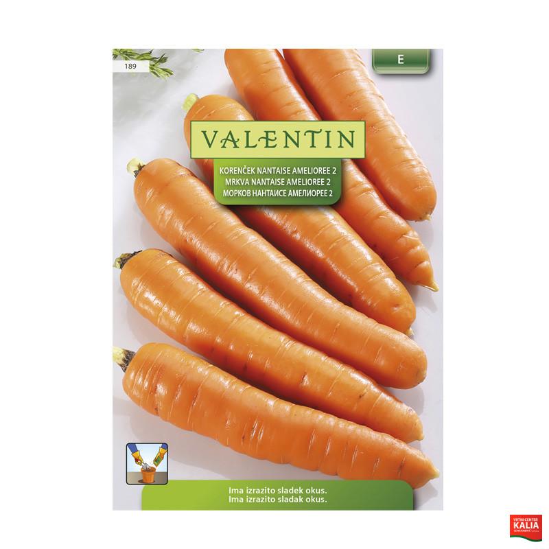 VALENTIN  189 KORENČEK NANTAISE AMELIOREE 2 