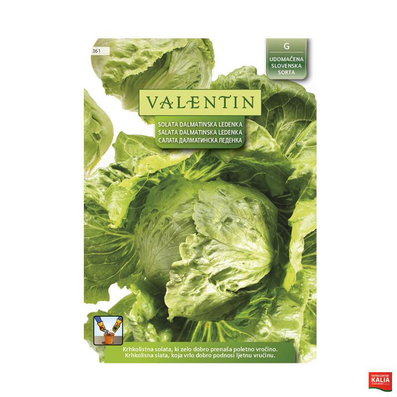 VALENTIN 361 SOLATA DALMATINSKA LEDENKA