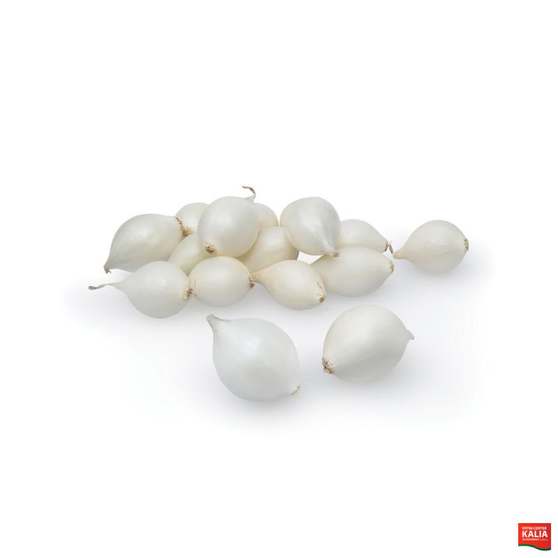 ČEBULČEK SNOWBALL (Majski srebrnjak) 500 g