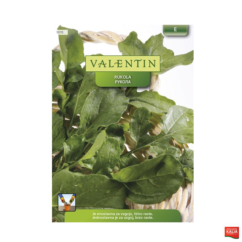 VALENTIN 1070 RUKOLA (Eruca sativa)