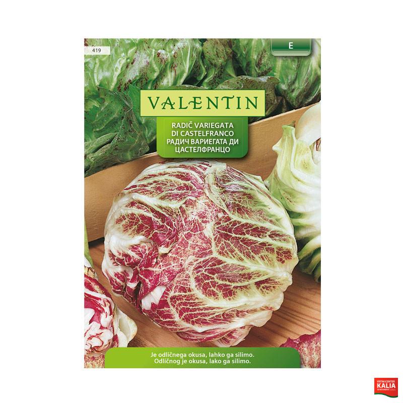 VALENTIN 419 RADIČ VARIEGATA DI CASTELFRANCO