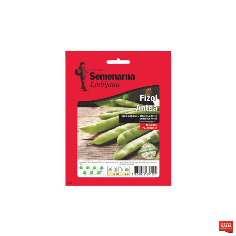 FIŽOL ANTEA 100 g Semenarna
