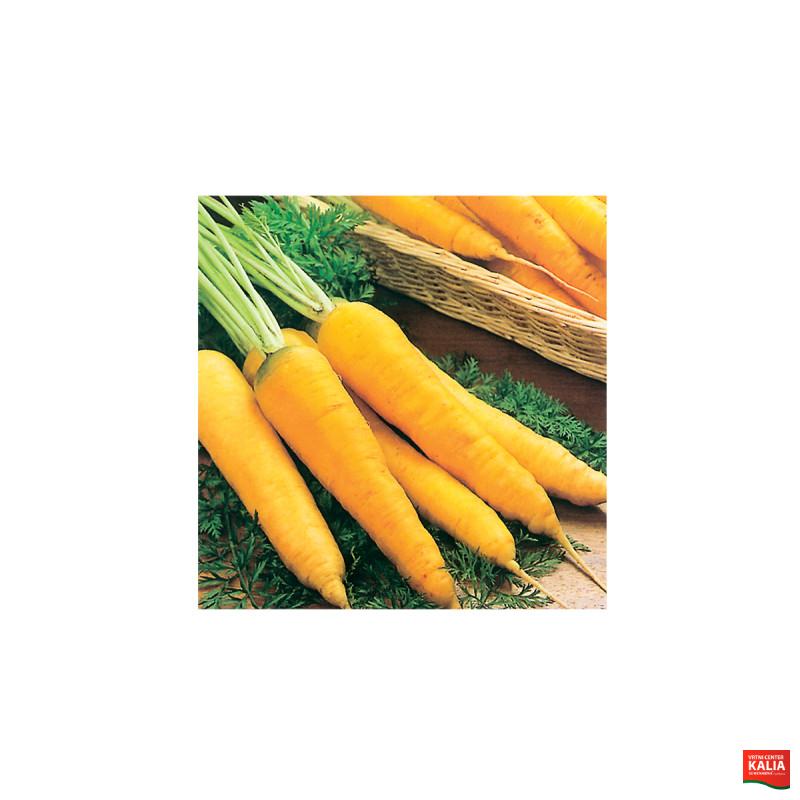 KORENJE KRMNO LJUBLJANSKO 100 G