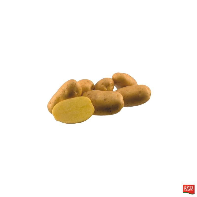 KROMPIR AGRIA A 25 kg 35/(50)55 mm 