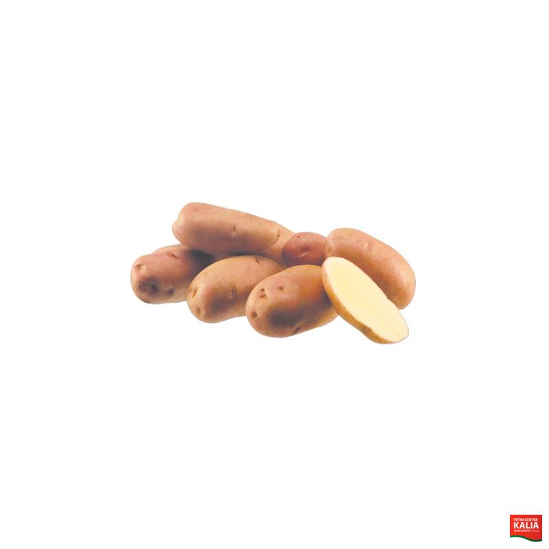 KROMPIR DESIREE E 25 kg 35/55mm 