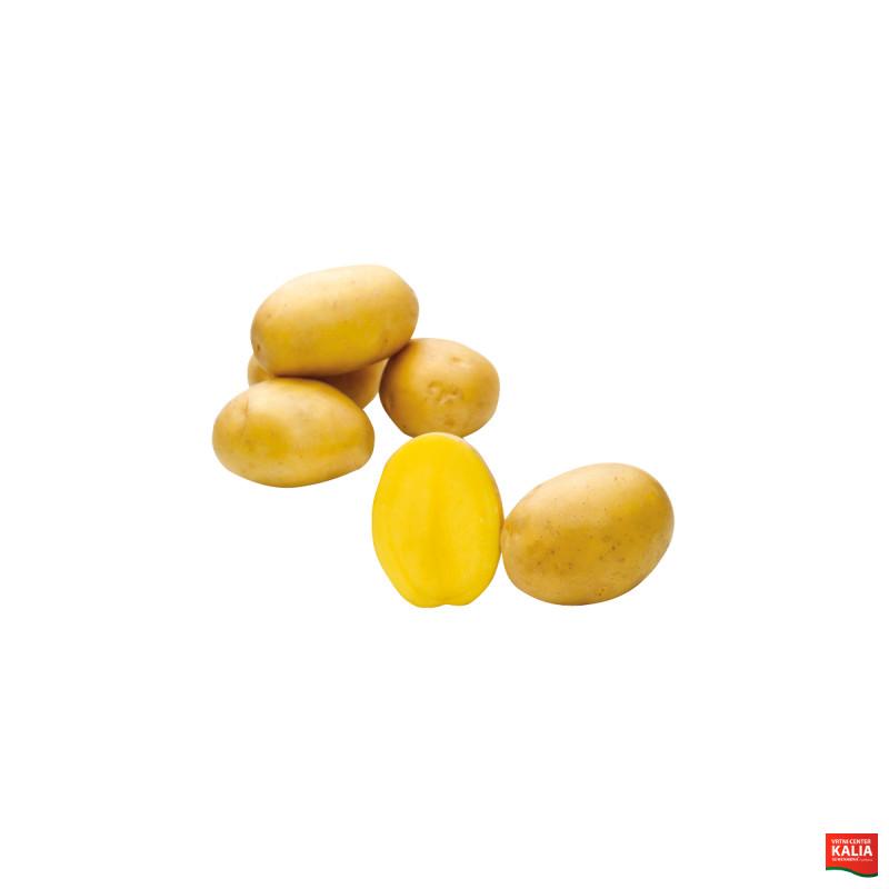 KROMPIR BELMONDA A 25 kg 35 /55 mm 