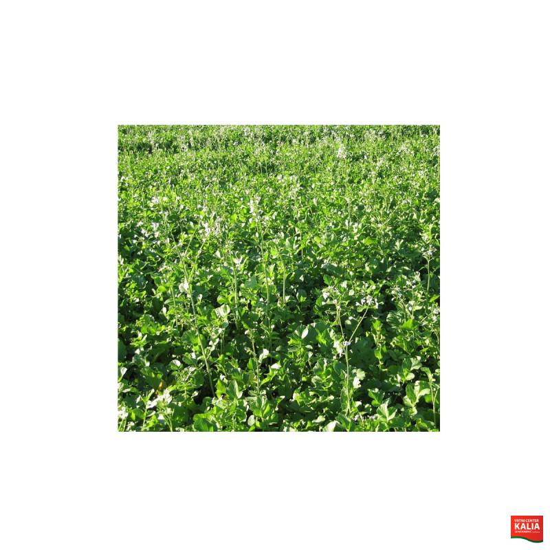 OLJNA REDKEV IRIS 1 kg