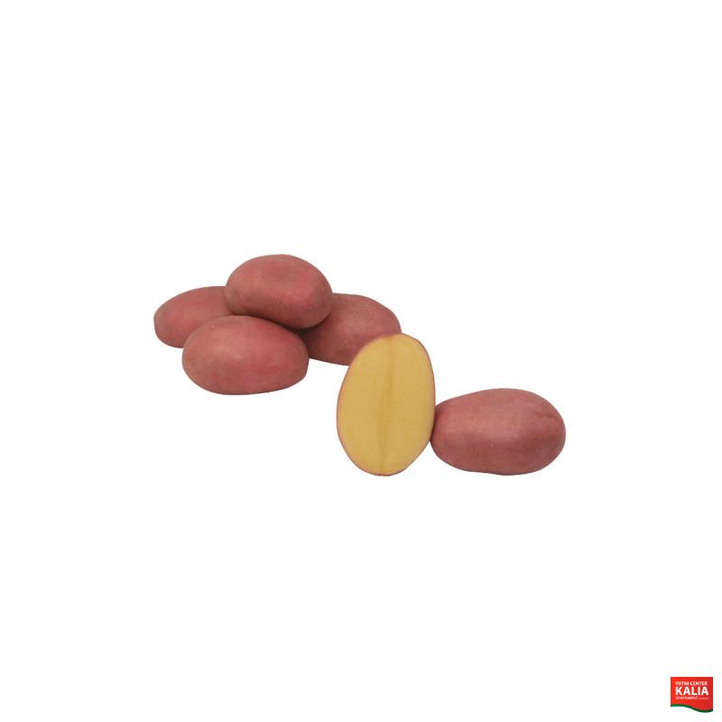 KROMPIR LABELLA A 25kg 35/55mm 