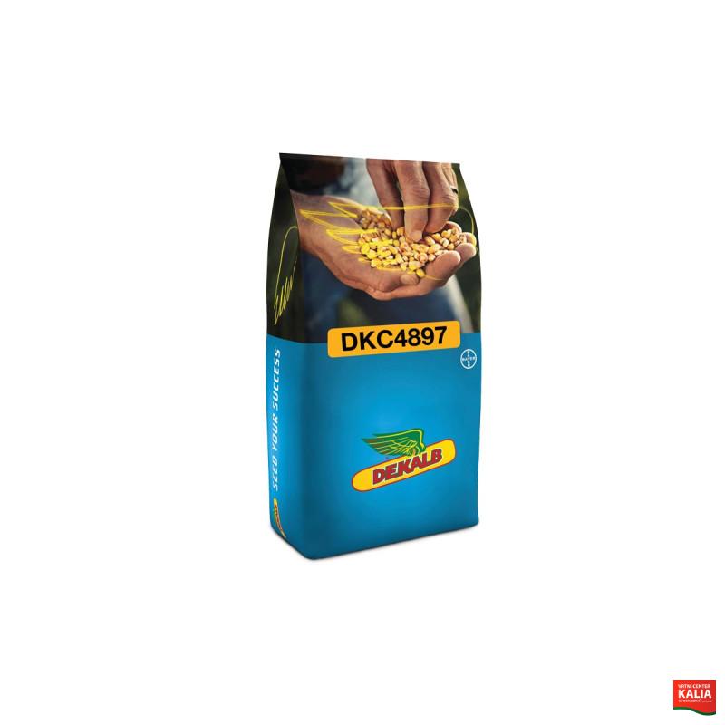 Koruza DKC 4897 50 MK Acceleron Elite