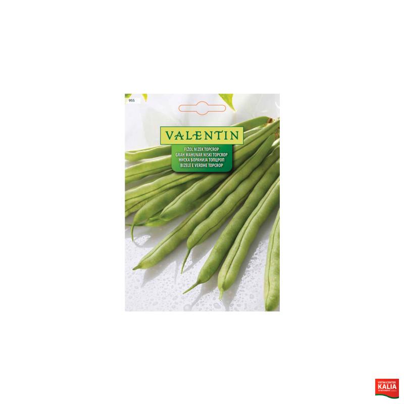 VALENTIN 955 FIŽOL NIZEK TOPCROP