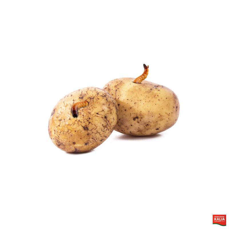 Bio Plantella Stop strune - refil 2 kos 