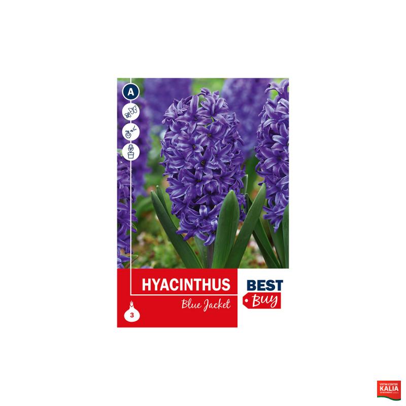 Super Best Buy Hyacinthus Blue Jacket 3/1 