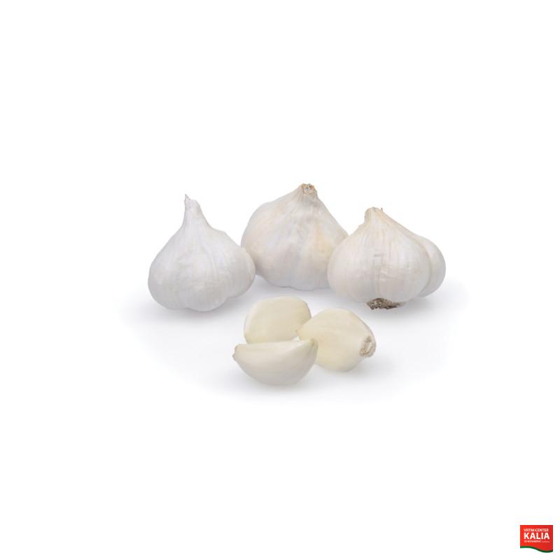 ČESEN MESSIDROME 400 g