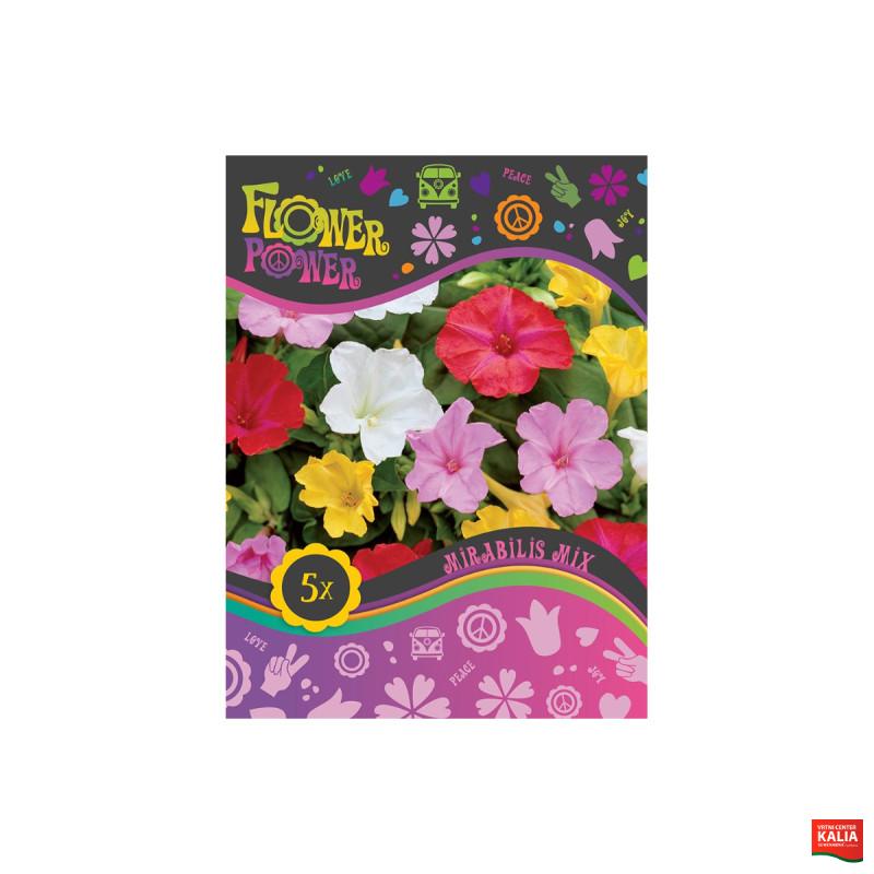 Flower power Mirabilis Mix 5/1