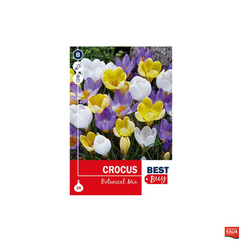 Super Best Buy Crocus Botanical Mix 15/1 