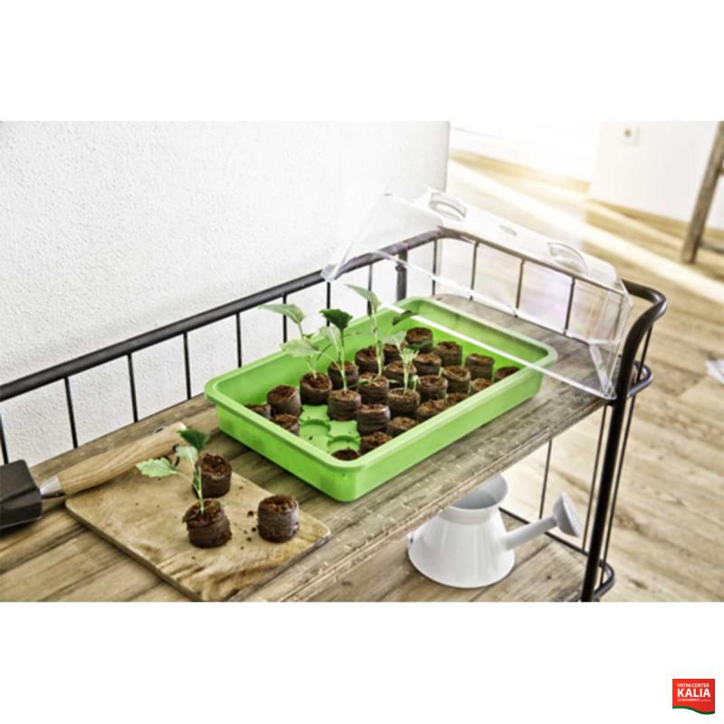 Rastlinjak mini sobni 38x24x6 cm zel., rum.