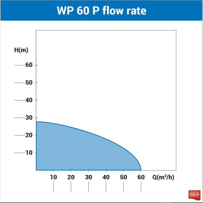 Črpalka bencinska WP 60P 