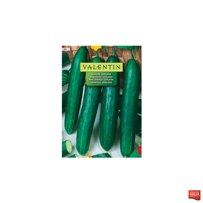 KUMARE GERGANA 602 Valentin