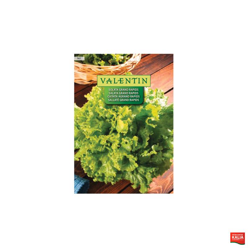SOLATA GRAND RAPIDS (Gentilina) 362 Valentin