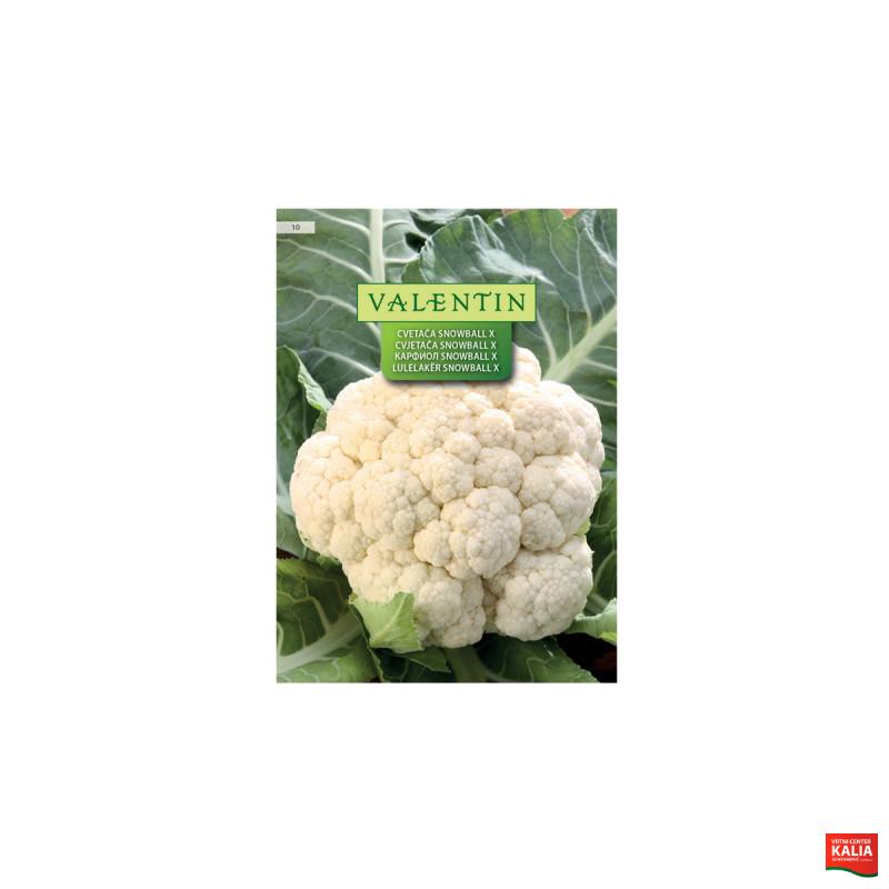 CVETAČA SNOWBALL X 10 Valentin