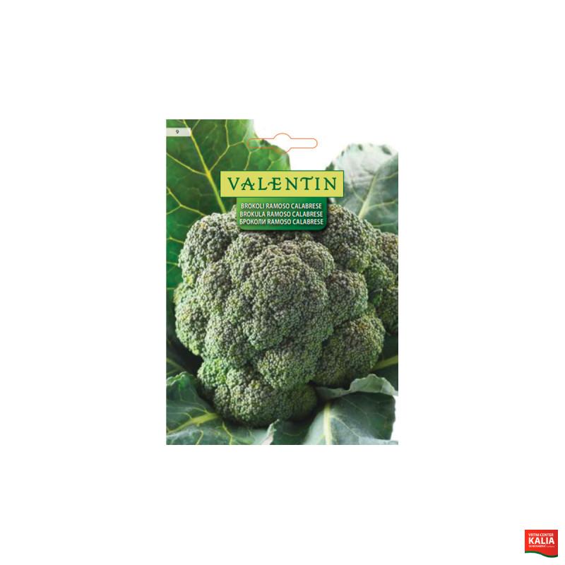 BROKOLI RAMOSO CALABRESE 9 Valentin