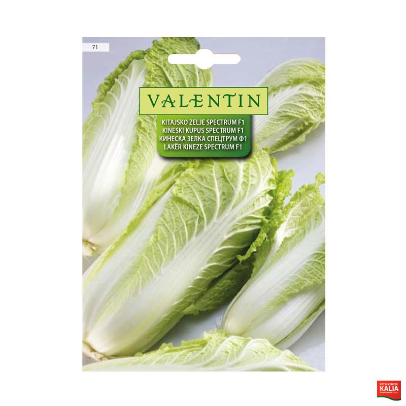 KITAJSKO ZELJE SPECTRUM F1 71 Valentin