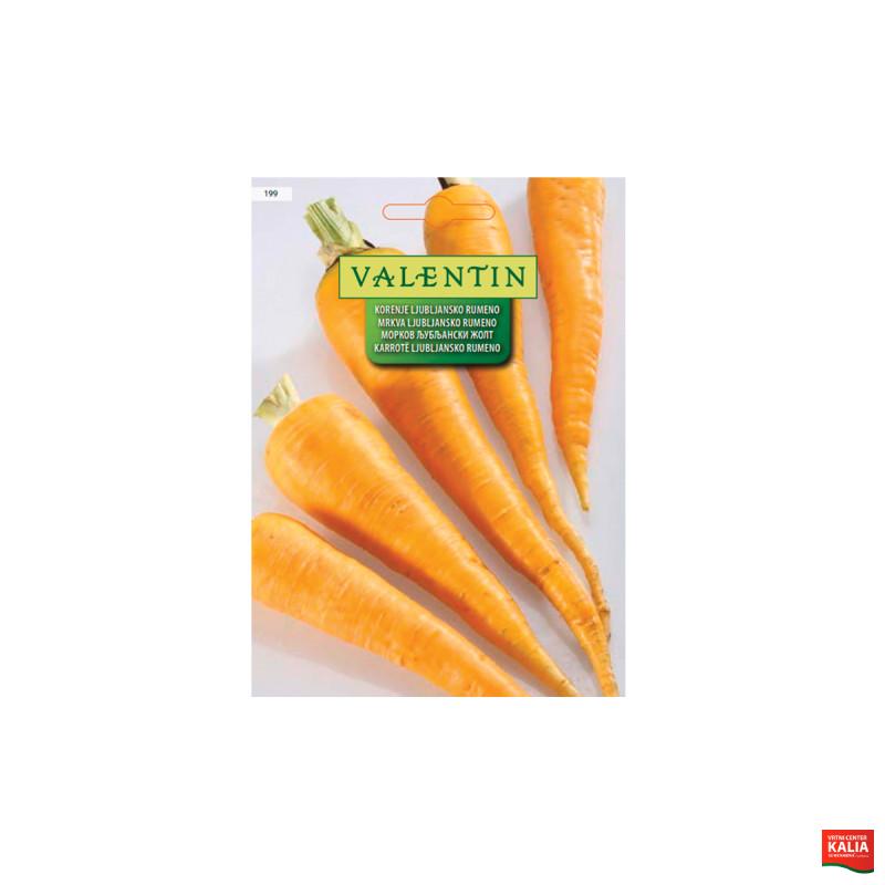 KORENJE LJUBLJANSKO RUMENO 199 Valentin