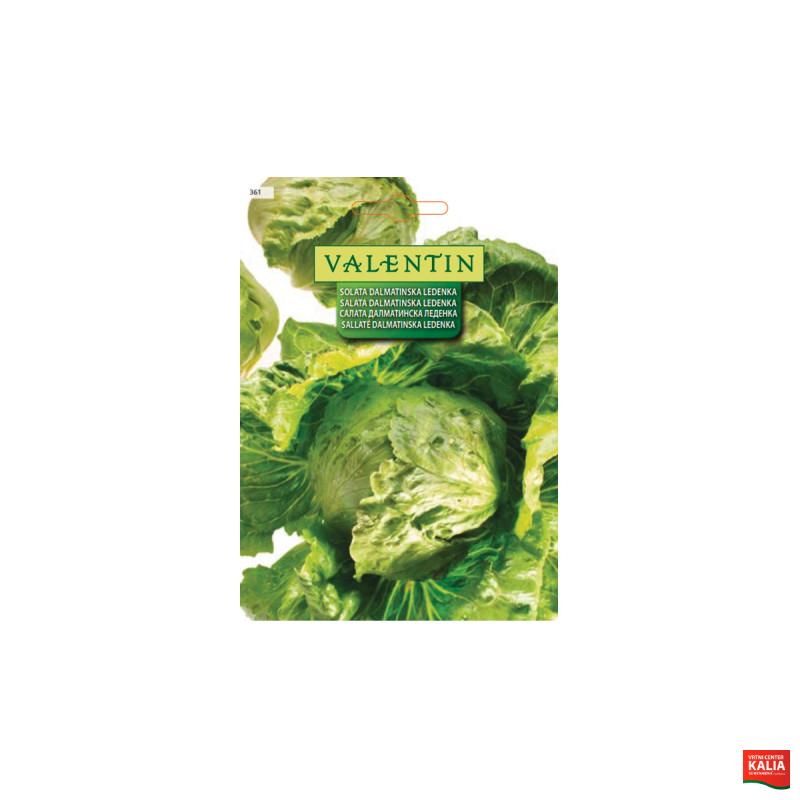 SOLATA DALMATINSKA LEDENKA 361 Valentin