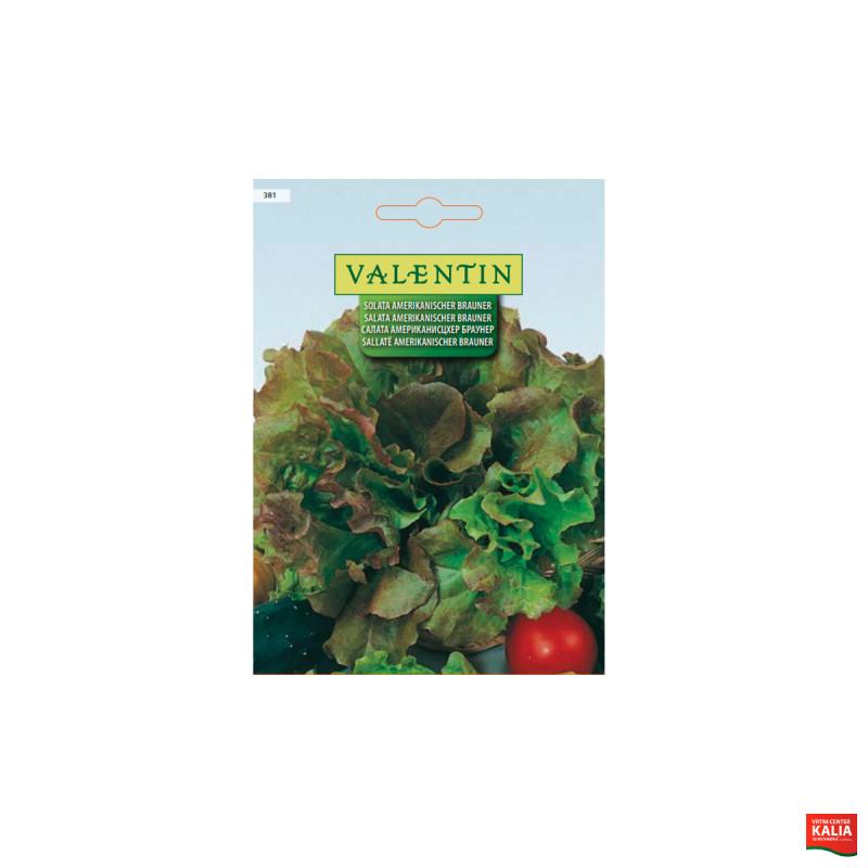 SOLATA AMERIKANISCHER BRAUNER 381 Valentin 
