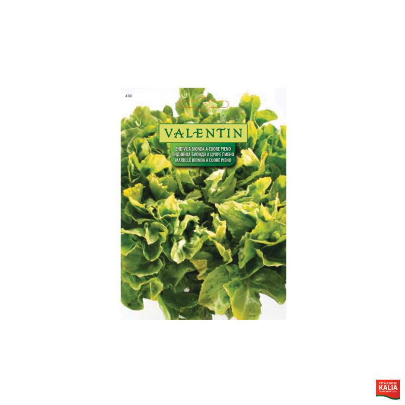 ENDIVIJA BIONDA A CUORE PIENO 430 Valentin
