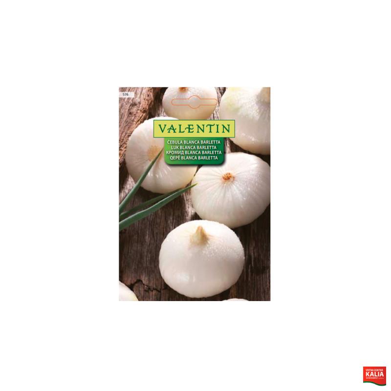 ČEBULA BLANCA BARLETTA 576 Valentin