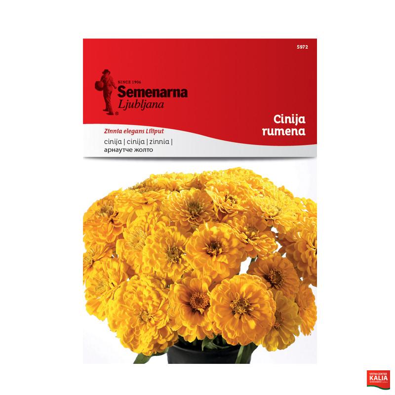 CINIJA RUMENA 5972 Semenarna