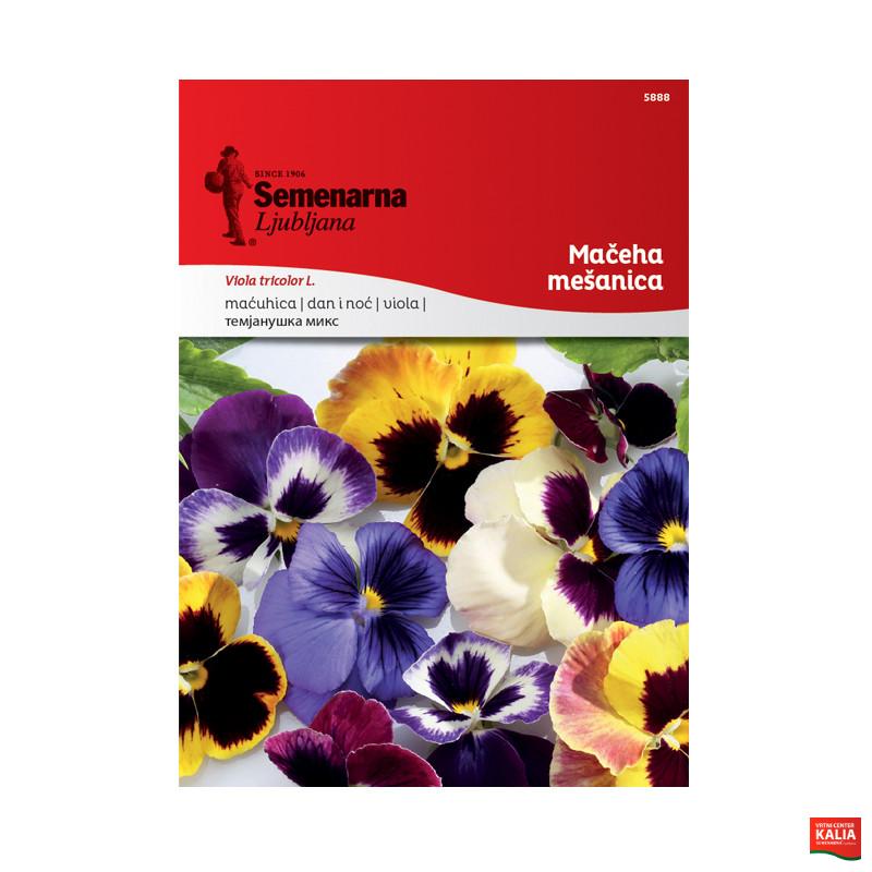 MAČEHA - MEŠANICA 5888 Semenarna