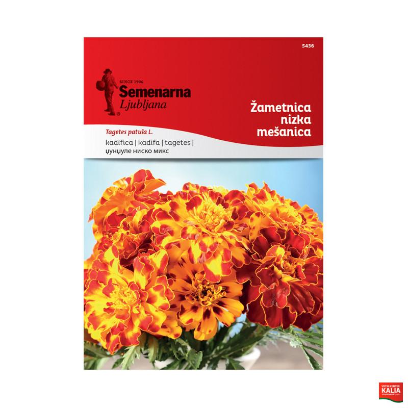 ŽAMETNICA NIZKA - MEŠANICA (Tagetes) 5436 Semenarna