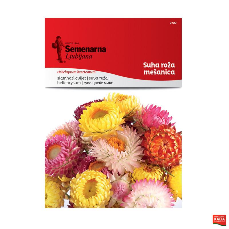 SUHA ROŽA - MEŠANICA 3720 Semenarna 