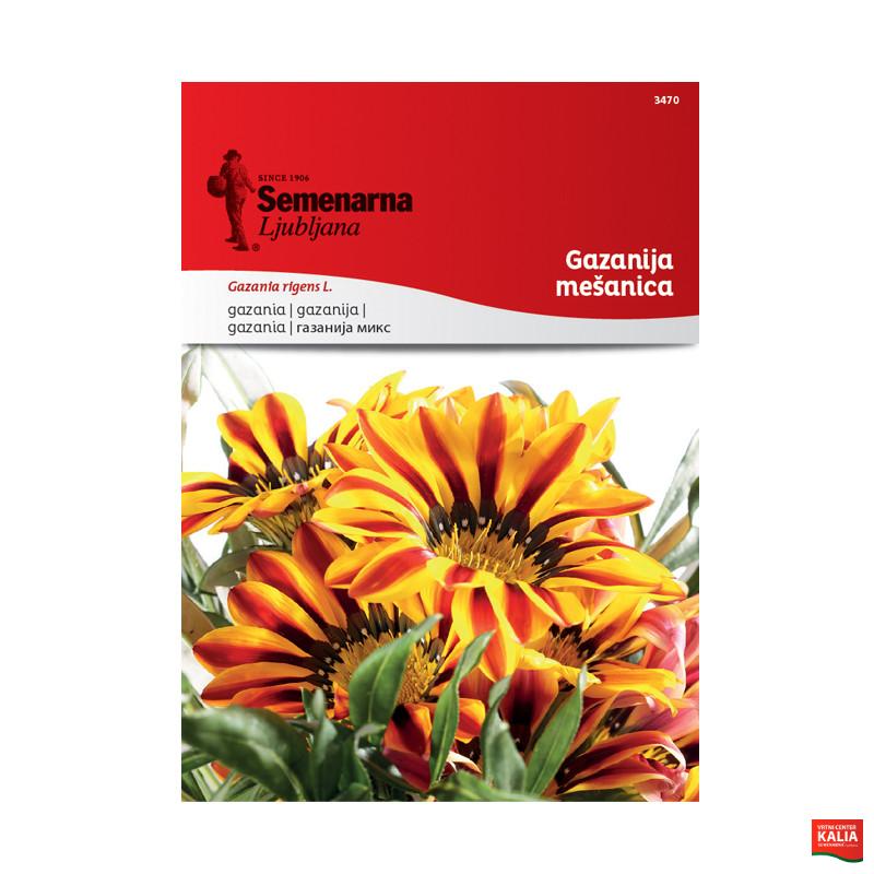 GAZANIJA - MEŠANICA 3470 Semenrana 