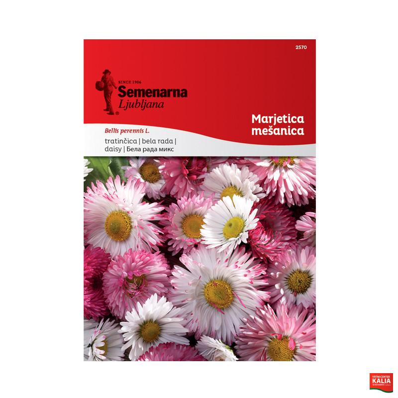 MARJETICA - MEŠANICA (Bellis perennis) 2570 Semenarna 
