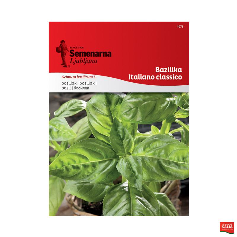 BAZILIKA ITALIANO CLASSICO 1076 Semenarna