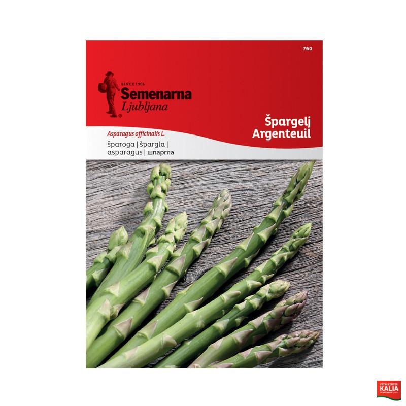 ŠPARGELJ ARGENTEUIL 760 Semenarna
