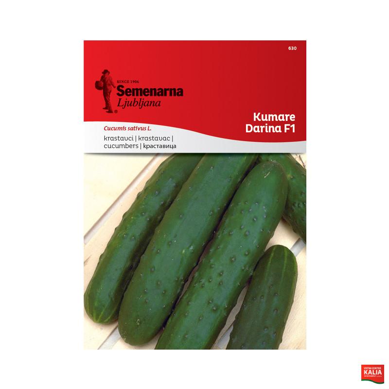 KUMARE DARINA F1 630 Semenarna