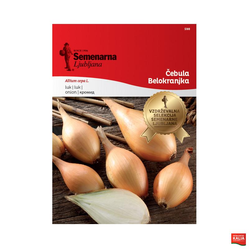 ČEBULA BELOKRANJKA 598 Semenarna