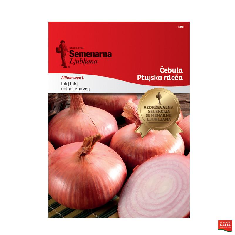 ČEBULA PTUJSKA RDEČA 596 Semenarna